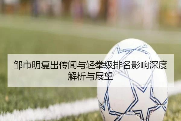 邹市明复出传闻与轻拳级排名影响深度解析与展望
